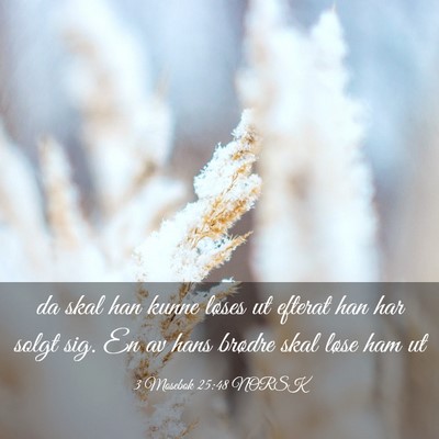 Picture 03 - 3 Mosebok 25:48 NORSK - da skal han kunne løses ut efterat han har solgt - Bible Verse Picture
