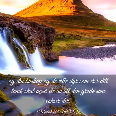 Picture 03 - 3 Mosebok 25:7 NORSK - og din buskap og de ville dyr som er i ditt land, - Bible Verse Picture