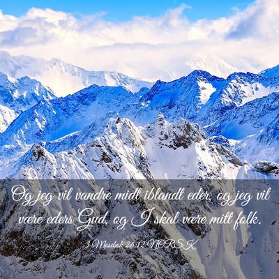 Picture 03 - 3 Mosebok 26:12 NORSK - Og jeg vil vandre midt iblandt eder, og jeg vil - Bible Verse Picture