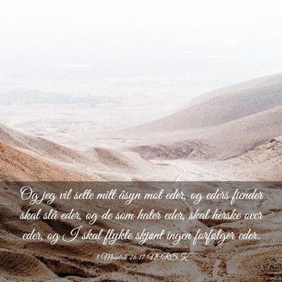 Picture 03 - 3 Mosebok 26:17 NORSK - Og jeg vil sette mitt åsyn mot eder, og eders - Bible Verse Picture