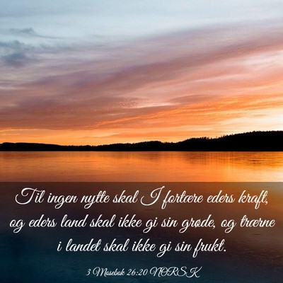 Picture 03 - 3 Mosebok 26:20 NORSK - Til ingen nytte skal I fortære eders kraft, og - Bible Verse Picture