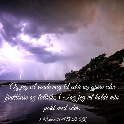 Picture 03 - 3 Mosebok 26:9 NORSK - Og jeg vil vende mig til eder og gjøre eder - Bible Verse Picture