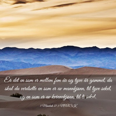 Picture 03 - 3 Mosebok 27:5 NORSK - Er det en som er mellem fem år og tyve år - Bible Verse Picture