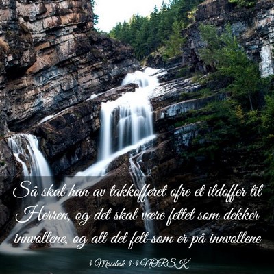 Picture 03 - 3 Mosebok 3:3 NORSK - Så skal han av takkofferet ofre et ildoffer til - Bible Verse Picture