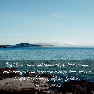 Picture 03 - 3 Mosebok 3:5 NORSK - Og Arons sønner skal brenne det på alteret - Bible Verse Picture