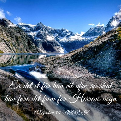 Picture 03 - 3 Mosebok 3:7 NORSK - Er det et får han vil ofre, så skal han føre - Bible Verse Picture