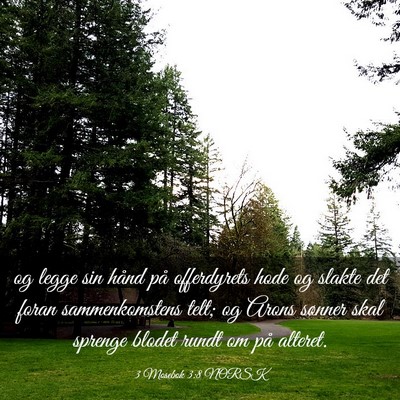 Picture 03 - 3 Mosebok 3:8 NORSK - og legge sin hånd på offerdyrets hode og slakte - Bible Verse Picture