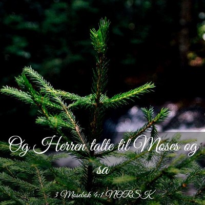 Picture 03 - 3 Mosebok 4:1 NORSK - Og Herren talte til Moses og - Bible Verse Picture