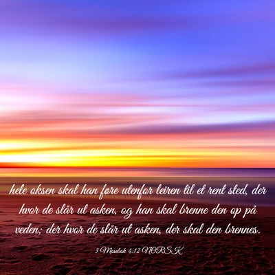 Picture 03 - 3 Mosebok 4:12 NORSK - hele oksen skal han føre utenfor leiren til et - Bible Verse Picture