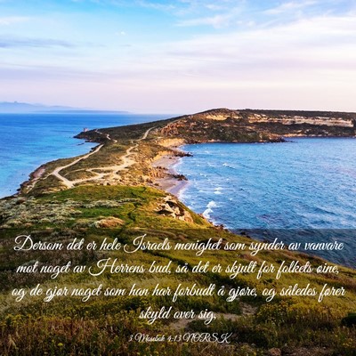 Picture 03 - 3 Mosebok 4:13 NORSK - Dersom det er hele Israels menighet som synder av - Bible Verse Picture