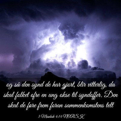 Picture 03 - 3 Mosebok 4:14 NORSK - og så den synd de har gjort, blir vitterlig, da - Bible Verse Picture
