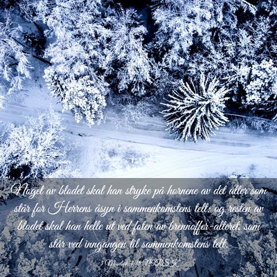 Picture 03 - 3 Mosebok 4:18 NORSK - Noget av blodet skal han stryke på hornene av - Bible Verse Picture