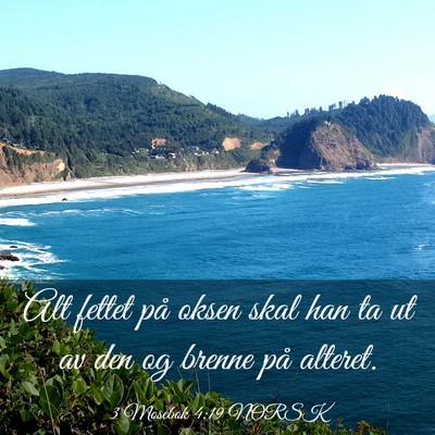 Picture 03 - 3 Mosebok 4:19 NORSK - Alt fettet på oksen skal han ta ut av den og - Bible Verse Picture