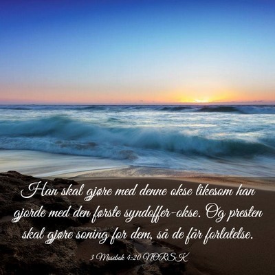 Picture 03 - 3 Mosebok 4:20 NORSK - Han skal gjøre med denne okse likesom han gjorde - Bible Verse Picture