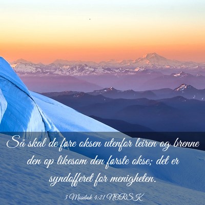 Picture 03 - 3 Mosebok 4:21 NORSK - Så skal de føre oksen utenfor leiren og brenne - Bible Verse Picture