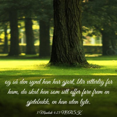 Picture 03 - 3 Mosebok 4:23 NORSK - og så den synd han har gjort, blir vitterlig for - Bible Verse Picture