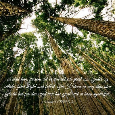 Picture 03 - 3 Mosebok 4:3 NORSK - så skal han, dersom det er den salvede prest som - Bible Verse Picture