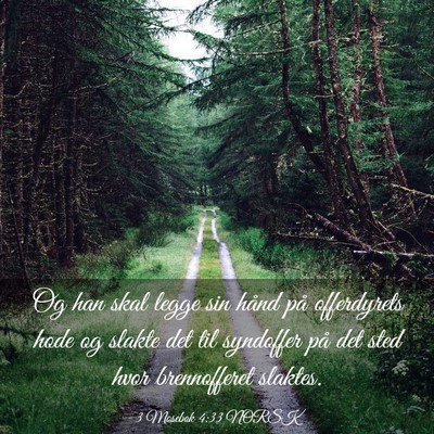 Picture 03 - 3 Mosebok 4:33 NORSK - Og han skal legge sin hånd på offerdyrets hode - Bible Verse Picture