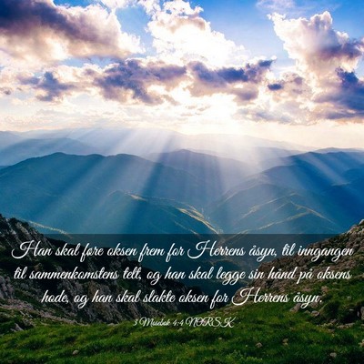 Picture 03 - 3 Mosebok 4:4 NORSK - Han skal føre oksen frem for Herrens åsyn, til - Bible Verse Picture