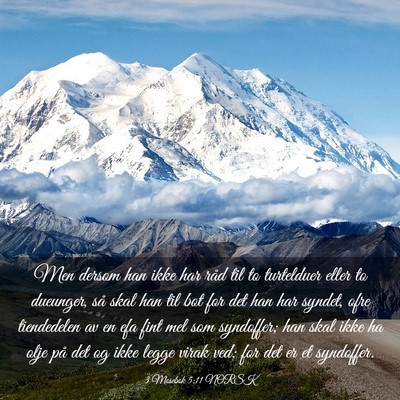 Picture 03 - 3 Mosebok 5:11 NORSK - Men dersom han ikke har råd til to turtelduer - Bible Verse Picture