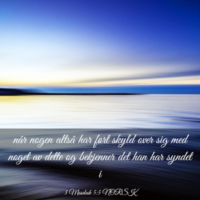 Picture 03 - 3 Mosebok 5:5 NORSK - når nogen altså har ført skyld over sig med - Bible Verse Picture
