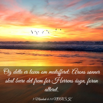 Picture 03 - 3 Mosebok 6:14 NORSK - Og dette er loven om matofferet: Arons sønner - Bible Verse Picture