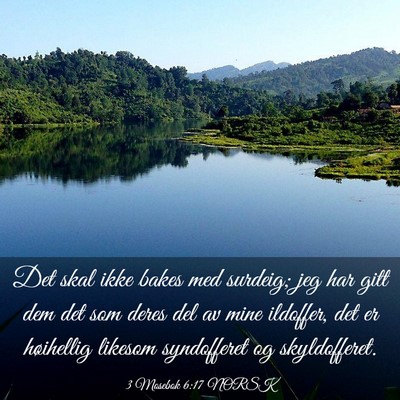 Picture 03 - 3 Mosebok 6:17 NORSK - Det skal ikke bakes med surdeig; jeg har gitt dem - Bible Verse Picture