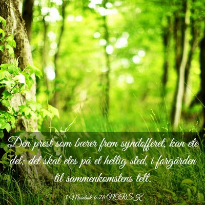 Picture 03 - 3 Mosebok 6:26 NORSK - Den prest som bærer frem syndofferet, kan ete - Bible Verse Picture