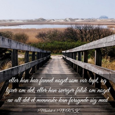 Picture 03 - 3 Mosebok 6:3 NORSK - eller han har funnet noget som var tapt, og lyver - Bible Verse Picture