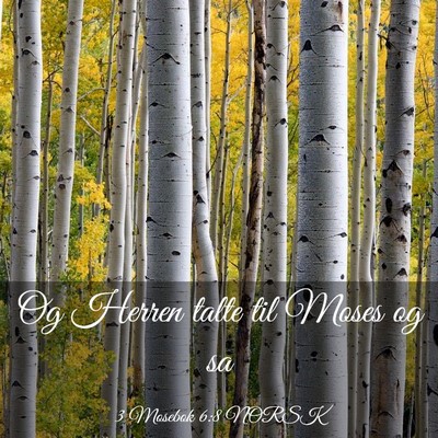 Picture 03 - 3 Mosebok 6:8 NORSK - Og Herren talte til Moses og - Bible Verse Picture