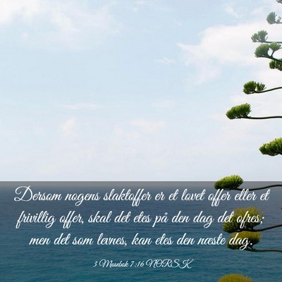 Picture 03 - 3 Mosebok 7:16 NORSK - Dersom nogens slaktoffer er et lovet offer eller - Bible Verse Picture