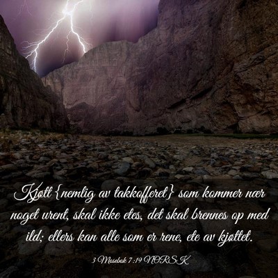 Picture 03 - 3 Mosebok 7:19 NORSK - Kjøtt {nemlig av takkofferet} som kommer nær - Bible Verse Picture