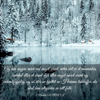 Picture 03 - 3 Mosebok 7:21 NORSK - Og når nogen rører ved noget urent, enten det - Bible Verse Picture