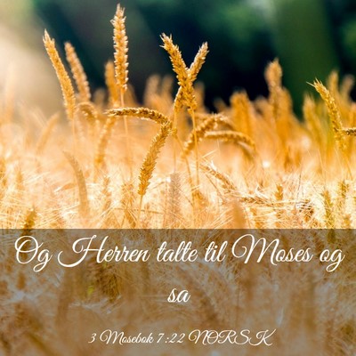 Picture 03 - 3 Mosebok 7:22 NORSK - Og Herren talte til Moses og - Bible Verse Picture
