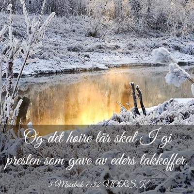 Picture 03 - 3 Mosebok 7:32 NORSK - Og det høire lår skal I gi presten som gave av - Bible Verse Picture