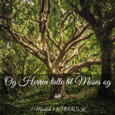 Picture 03 - 3 Mosebok 8:1 NORSK - Og Herren talte til Moses og - Bible Verse Picture