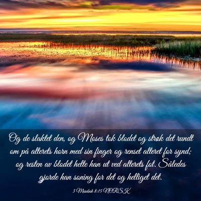 Picture 03 - 3 Mosebok 8:15 NORSK - Og de slaktet den, og Moses tok blodet og strøk - Bible Verse Picture