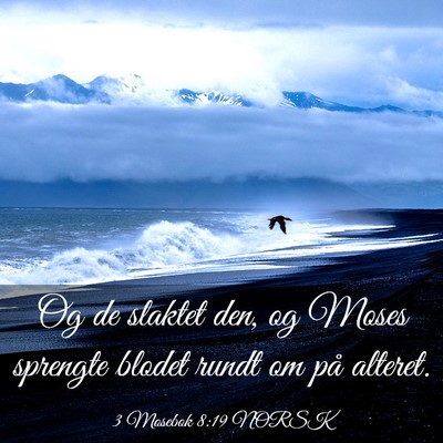 Picture 03 - 3 Mosebok 8:19 NORSK - Og de slaktet den, og Moses sprengte blodet rundt - Bible Verse Picture