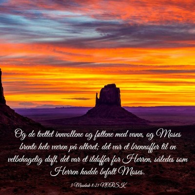 Picture 03 - 3 Mosebok 8:21 NORSK - Og de tvettet innvollene og føttene med vann, og - Bible Verse Picture