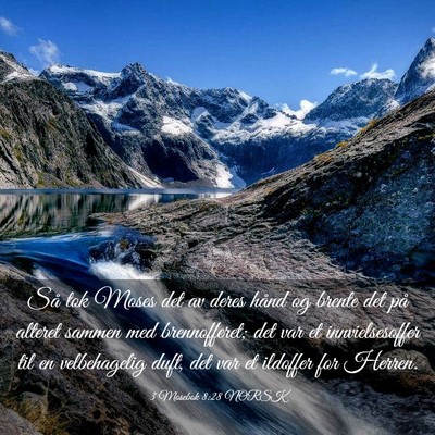 Picture 03 - 3 Mosebok 8:28 NORSK - Så tok Moses det av deres hånd og brente det - Bible Verse Picture