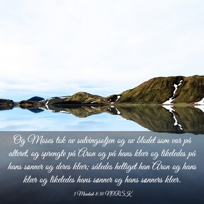 Picture 03 - 3 Mosebok 8:30 NORSK - Og Moses tok av salvingsoljen og av blodet som - Bible Verse Picture