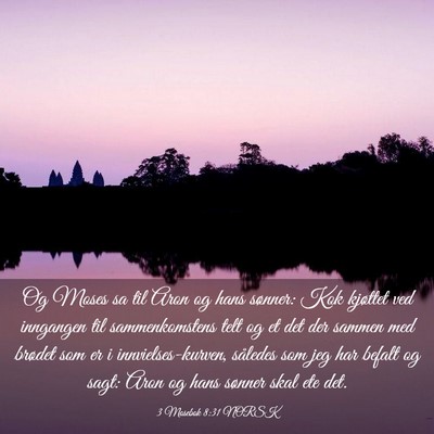 Picture 03 - 3 Mosebok 8:31 NORSK - Og Moses sa til Aron og hans sønner: Kok - Bible Verse Picture