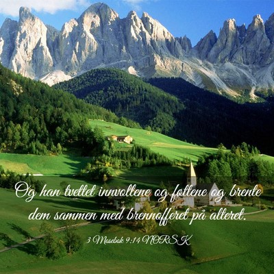 Picture 03 - 3 Mosebok 9:14 NORSK - Og han tvettet innvollene og føttene og brente - Bible Verse Picture