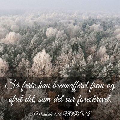 Picture 03 - 3 Mosebok 9:16 NORSK - Så førte han brennofferet frem og ofret det, - Bible Verse Picture