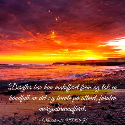 Picture 03 - 3 Mosebok 9:17 NORSK - Derefter bar han matofferet frem og tok en - Bible Verse Picture