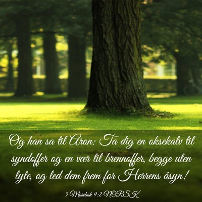Picture 03 - 3 Mosebok 9:2 NORSK - Og han sa til Aron: Ta dig en oksekalv til - Bible Verse Picture