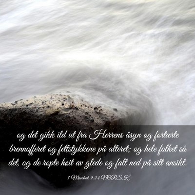 Picture 03 - 3 Mosebok 9:24 NORSK - og det gikk ild ut fra Herrens åsyn og fortærte - Bible Verse Picture