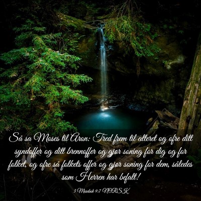 Picture 03 - 3 Mosebok 9:7 NORSK - Så sa Moses til Aron: Tred frem til alteret og - Bible Verse Picture