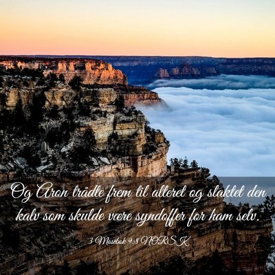 Picture 03 - 3 Mosebok 9:8 NORSK - Og Aron trådte frem til alteret og slaktet den - Bible Verse Picture