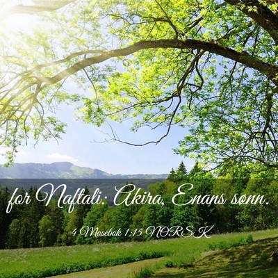 Picture 03 - 4 Mosebok 1:15 NORSK - for Naftali: Akira, Enans - Bible Verse Picture